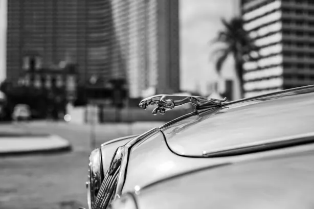 Betobet Casino Android/iOS rakendus